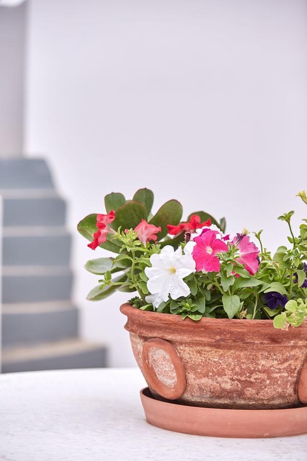 Spetses Retreat Accommodation Luaran gambar
