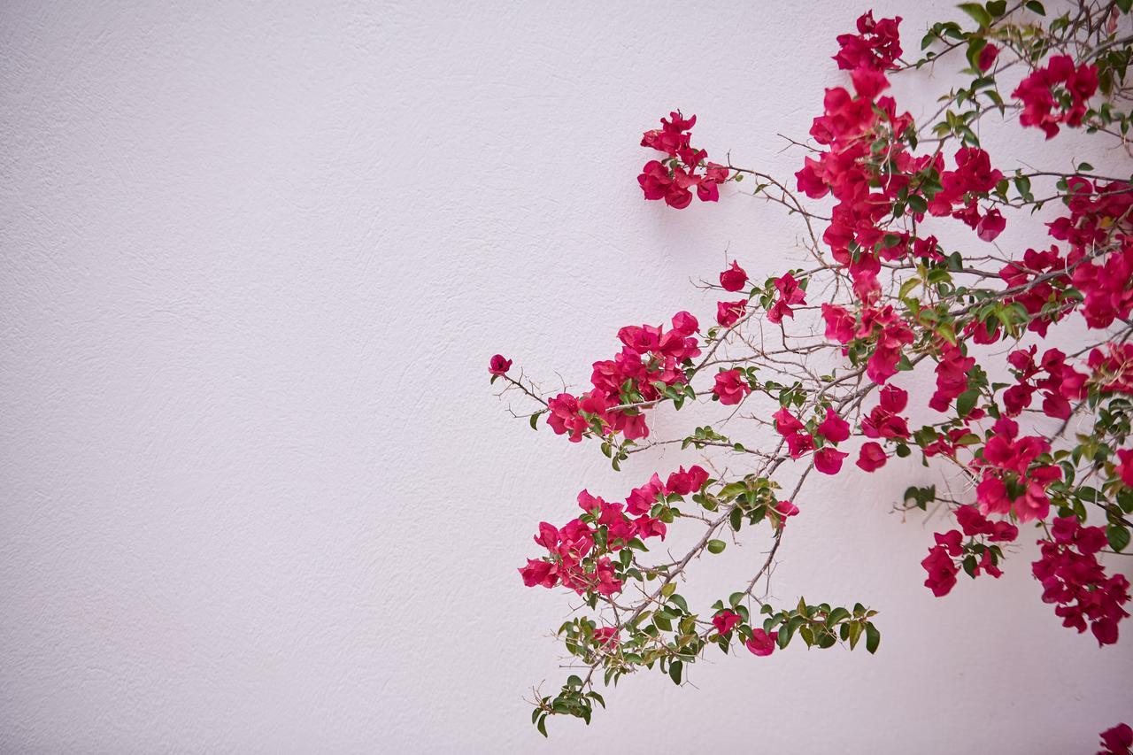 Spetses Retreat Accommodation Luaran gambar