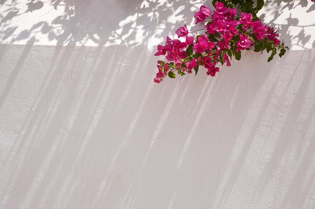 Spetses Retreat Accommodation Luaran gambar