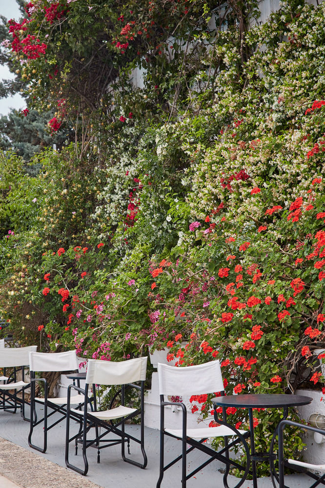 Spetses Retreat Accommodation Luaran gambar